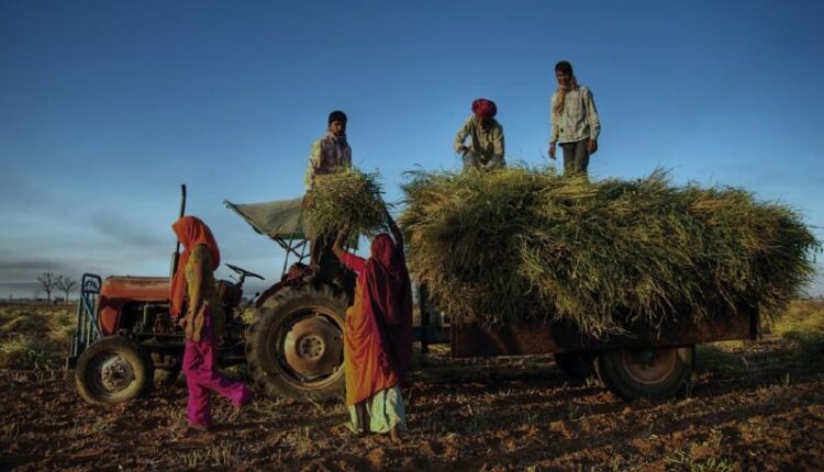 India’s Women Farmers: The Unimagined Mass
