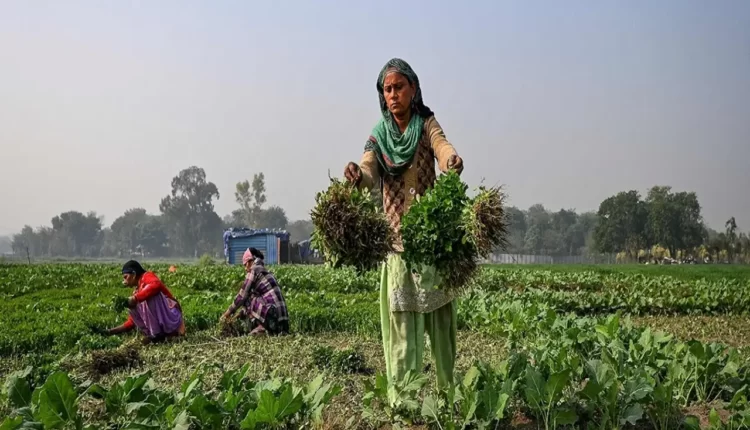 Prof Nitya Rao, Professor of Gender and Development in UEA’s School of Global Development, co-led the study with Dr Soundarya Iyer, Assistant Professor of R.V University Bengaluru.